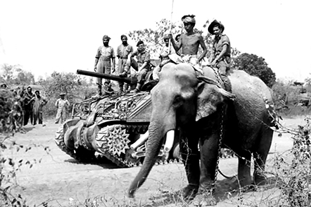 In one formation: an M4 Sherman tank of the 225th British Tank Brigade and a war elephant in the area of ??the Burmese city of Meithila - Story, The Second World War, Sherman M4, Great Britain, Myanmar, War elephants