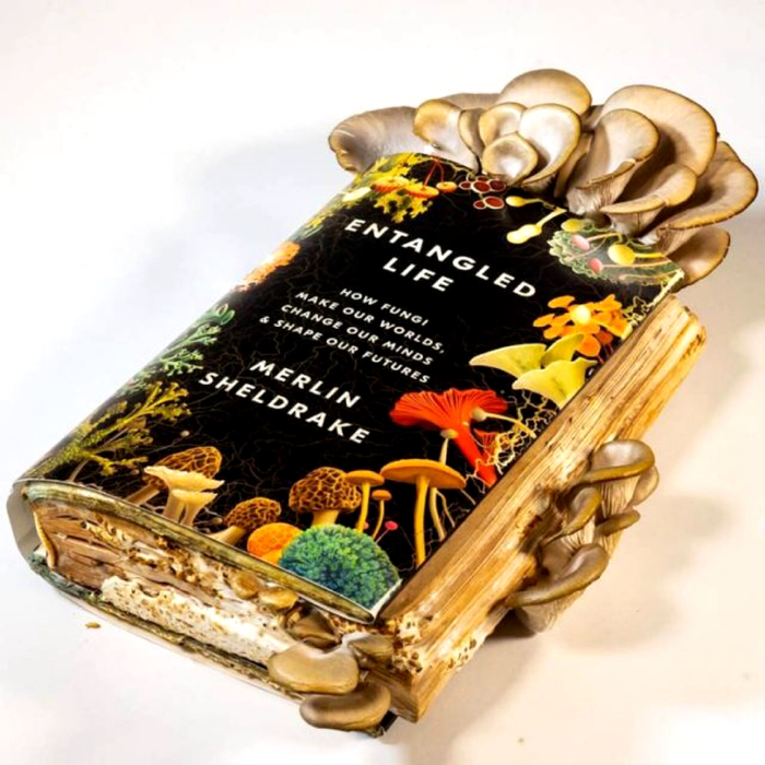 ������ ���� �����, ������� �������� �� ����� �� ����� � ������