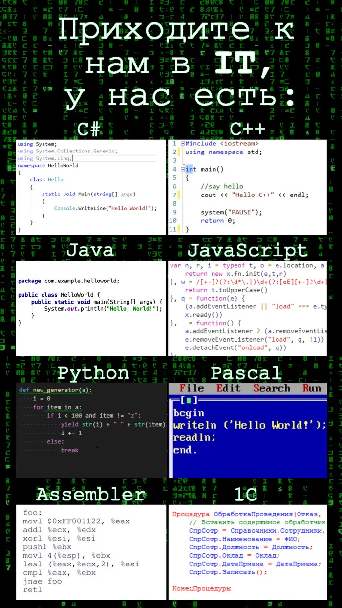 Come visit us at IT - My, Come to us, Programming, IT, Humor, Memes, Profession, Professional humor