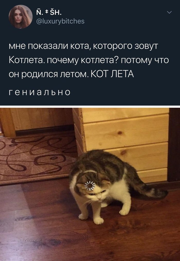 ����� ��� �������