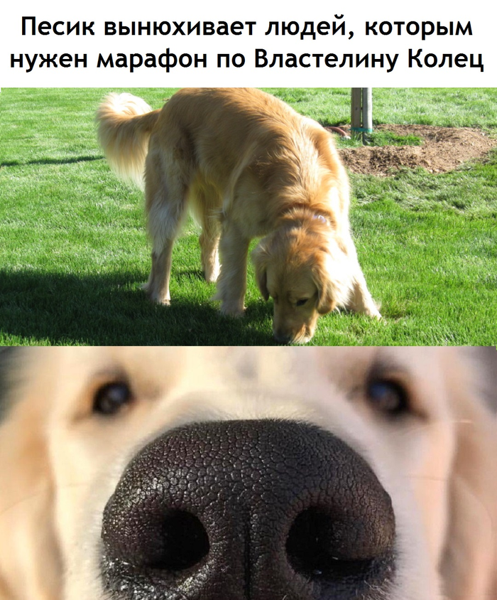 Detected))