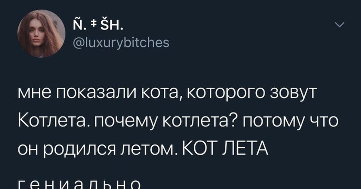Текст песни ты похож на кота. Ты похож на кота текст. Песня ты похож на кота текст. Ты похож на кота на украинском текст.
