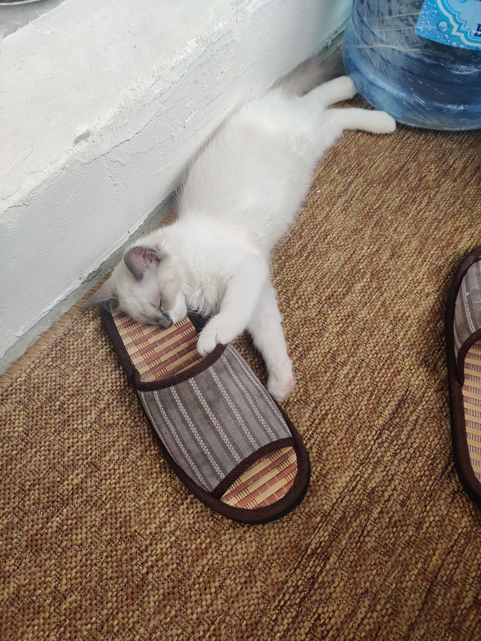 Когда в процессе мести что-то пошло не так