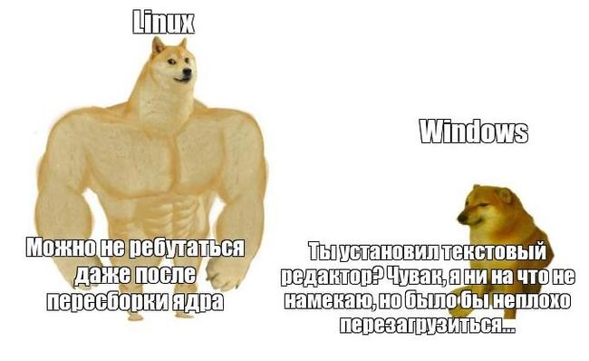    Linux  Windows  /  