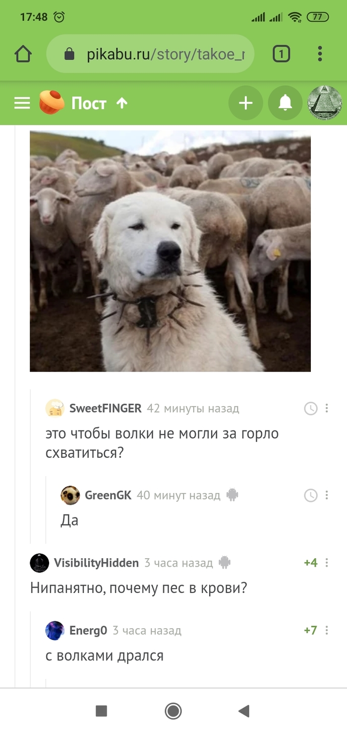    , , , , , , 