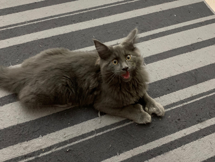 ����������� ������ ����-��� �������� :)