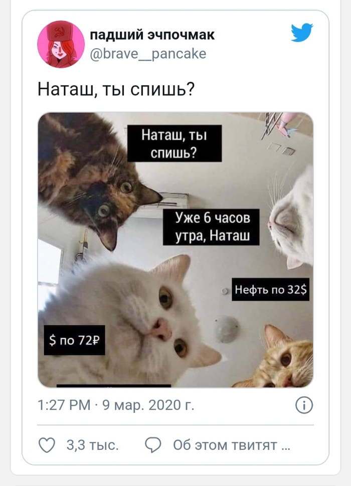 Как сделать дом для саранчи. Смотреть фото Как сделать дом для саранчи. Смотреть картинку Как сделать дом для саранчи. Картинка про Как сделать дом для саранчи. Фото Как сделать дом для саранчи