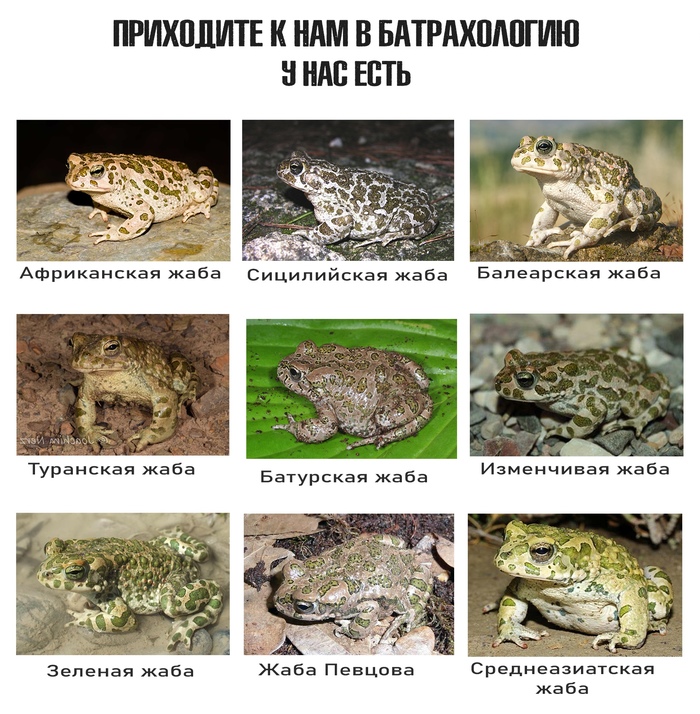 ��������� � ��� � ������������...