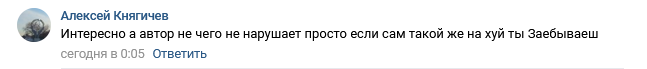 Решил прославить местного парня, который возможно спас не одну жизнь - Ростов-на-Дону, Хороший поступок, Молодец, Видео, Длиннопост, Пьяный водитель, Мат, Гражданская позиция