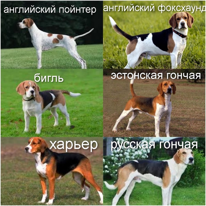 ... ,   , , , 
