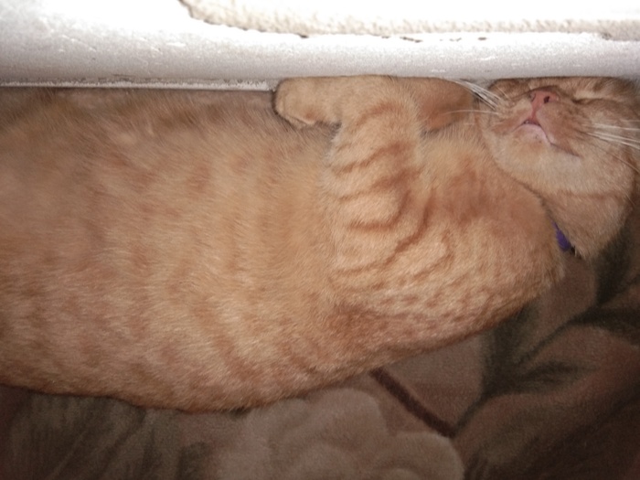 �������� ��������...