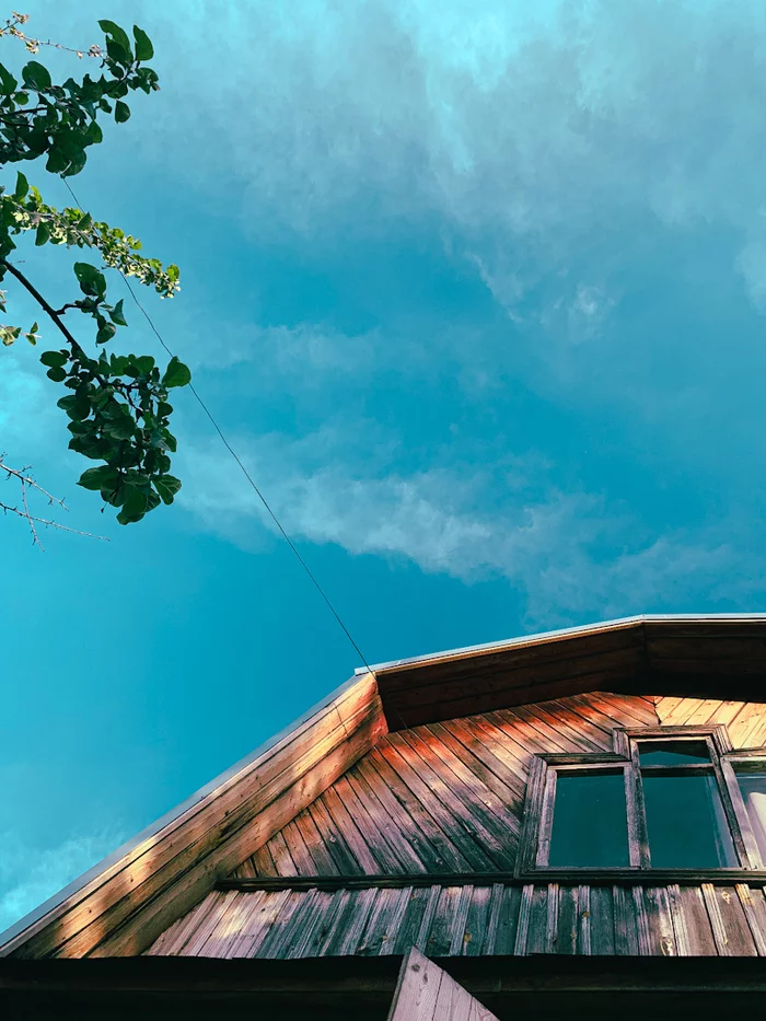 Outing to the dacha - My, Nature, Tatarstan, Dacha, The photo, Longpost