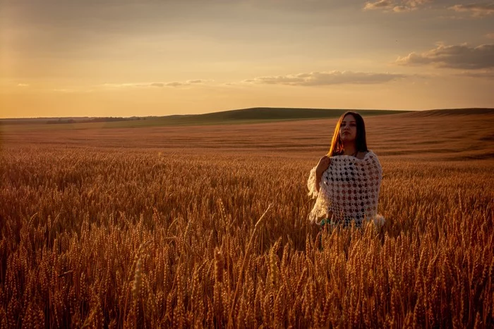 Beginning - My, Field, The photo, I want criticism