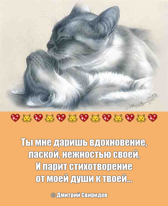 world kissing day - Kissing Day, Tenderness, Poems, cat, Picture with text