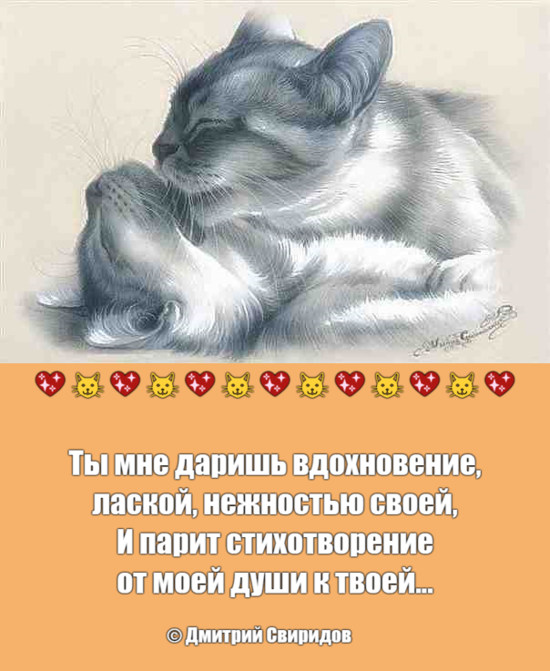 World Kissing Day - Kissing Day, Tenderness, Poems, cat, Picture with text