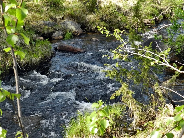 Let's get home! The swamping swamp... Part 2. Patriot Niva and Duster, PerekatiKolsky 4x4 Murmansk - My, Kola Peninsula, Auto, Adventures, Travels, 4x4, Jeep, Road, Murmansk, Video, Longpost