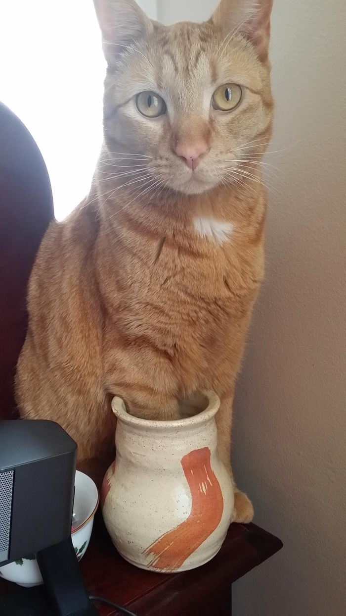 � ��� �� ��� ��������, ������� �����?