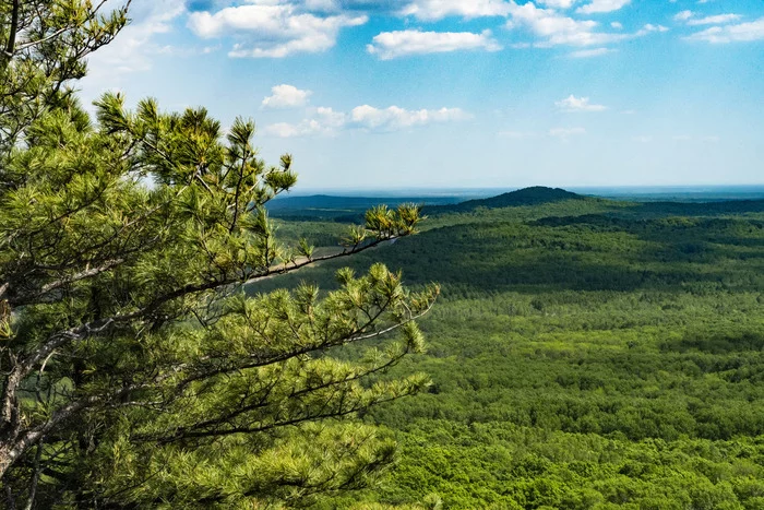 Nature of the Far East - My, Hekhtsir, Taiga, Khabarovsk, Дальний Восток, Beginning photographer