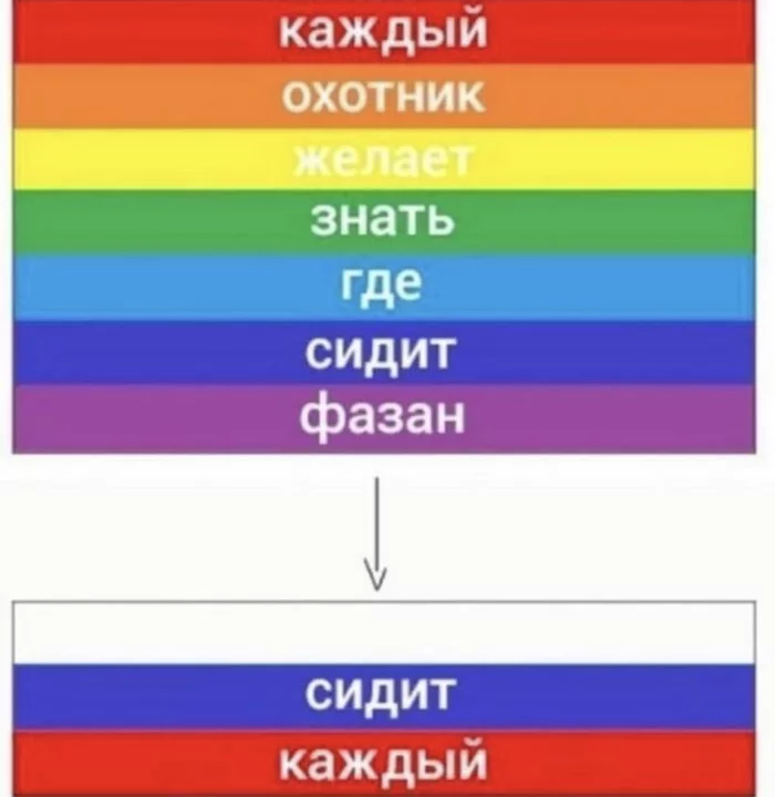 Сядем-присядем - Моё, Екатерина Лахова, Геи, Запрет