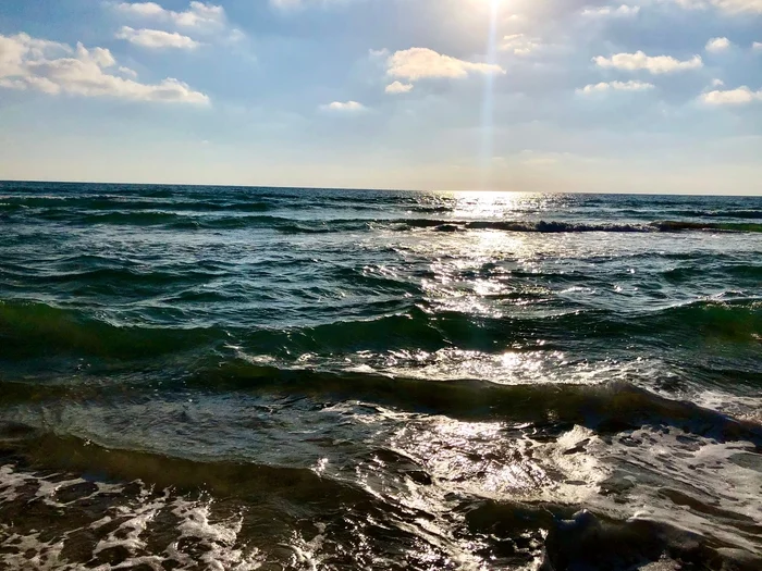 Mediterranean voyage on horseback - My, Sea, Horses