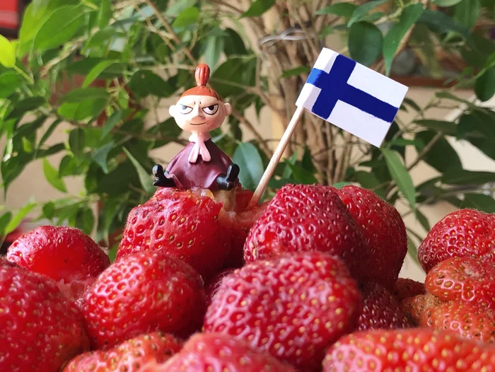 Little My and Strawberry Mountain - My, Moomin Trolls, Tove Jansson, All About the Moomins