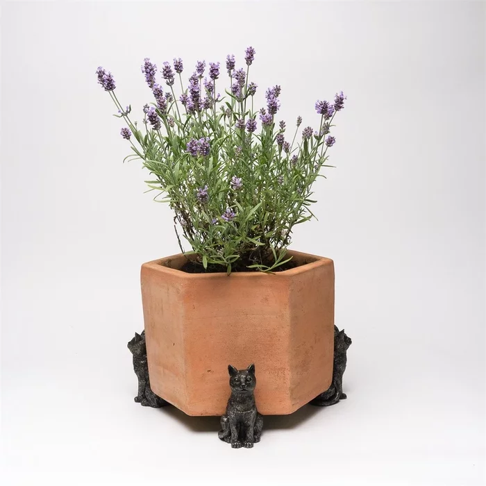 Что это за штука - 101 Перевел сам, Reddit, WhatIsThisThing, Видео, Длиннопост Что это за штука - 101 Перевел сам, Reddit, WhatIsThisThing, Видео, Длиннопост