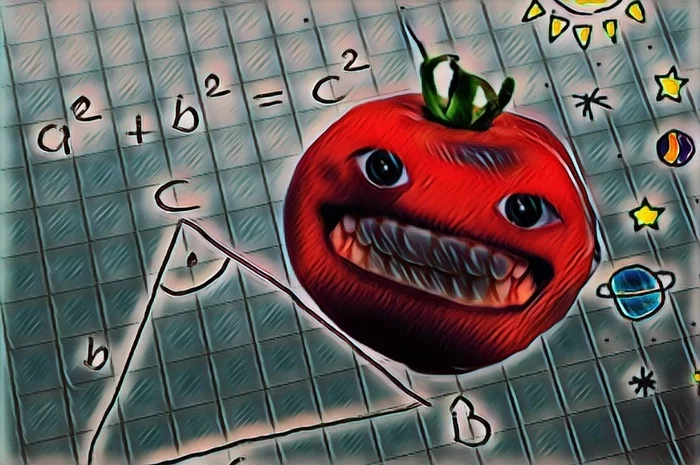 Euclids in tomato - My, Driver, A pedestrian, Geometry, Euclid, Tomatoes, Conflict, First post