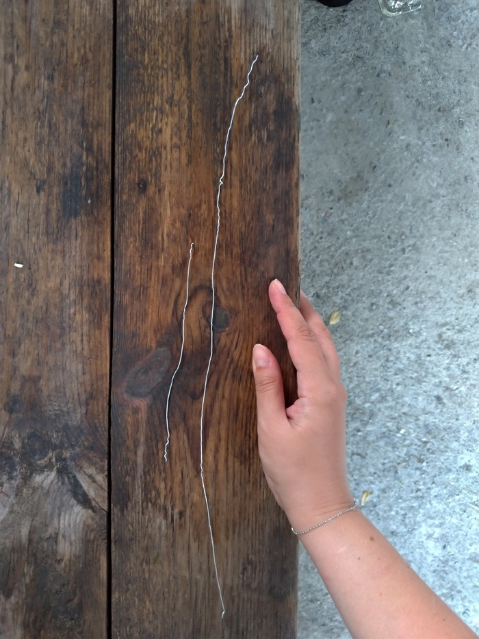 Раскрутила мюзле