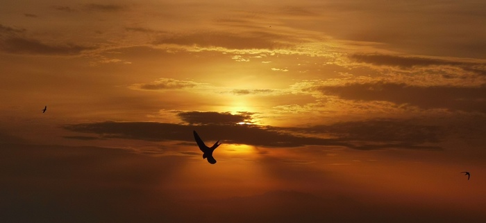 Городской пейзаж Фотография, Мобильная фотография, Город, Пенза, Пейзаж, Красивый вид, Длиннопост