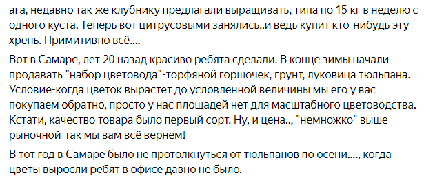 That year there were no crowds of tulips in Samara: a small story of one big fraud - Russia, Fraud, Real life story, Picture with text, Tulips, Samara