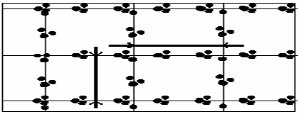 If you want to be advanced - this is a square-nested one! - My, Agronomy, Sowing, Soy, Longpost