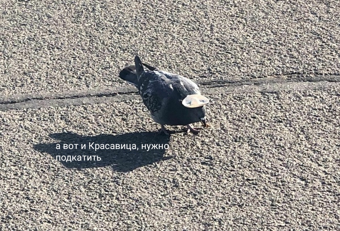     , , , , , ,   , , 