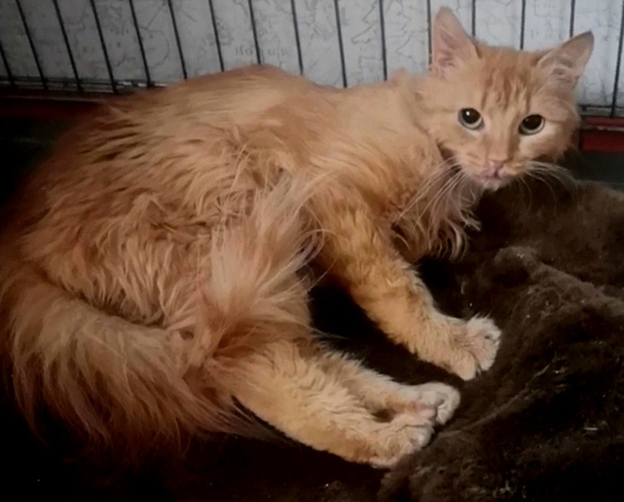 ����� � �������� ����� ��� � ��� � ������ ���� (��������� � �����������)