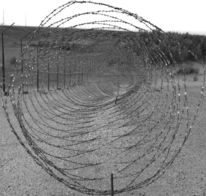 Thorn - My, Barbed wire, Nikon, Nikon d3100