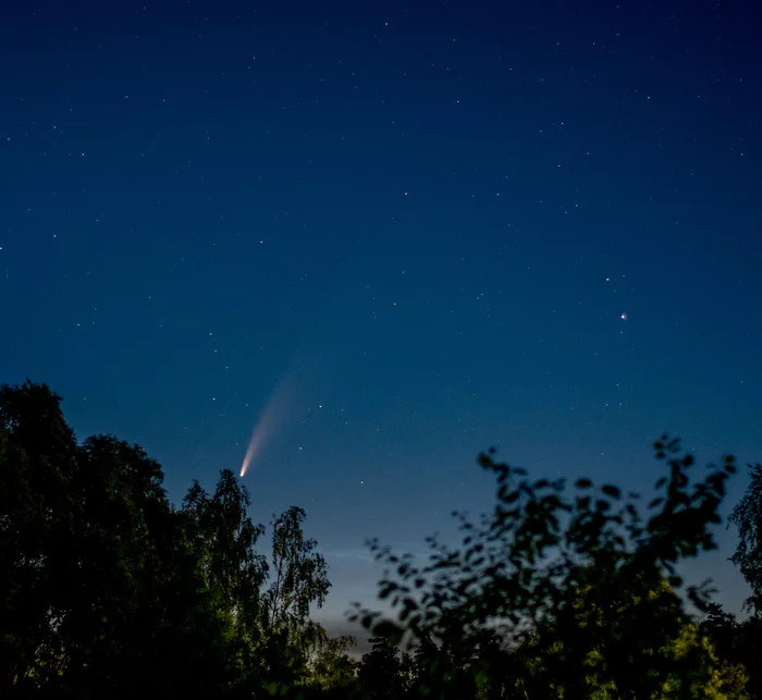 Comet C/2020 F3 (NEOWISE) - My, Comet, Neowise, Stars, Landscape, Murom