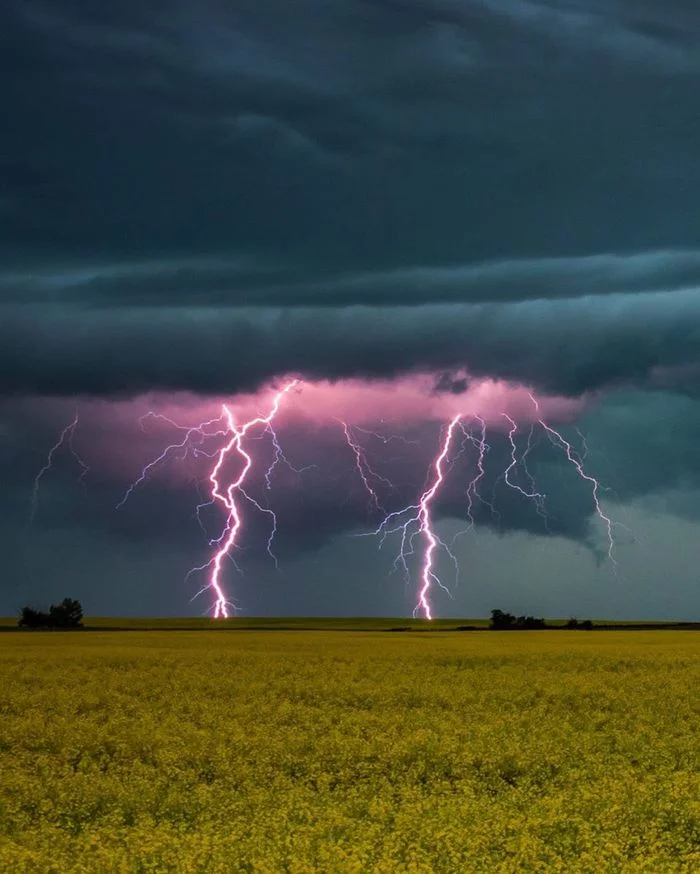 Thunderstorm in Canada. Province of Alberta - The photo, Canada, Thunderstorm, Nature, Field, The clouds, Flowers, Lightning, Longpost