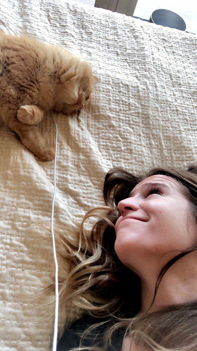 Animals that look lovingly at their owners - Animals, The hosts, Love, Longpost, cat, Dog