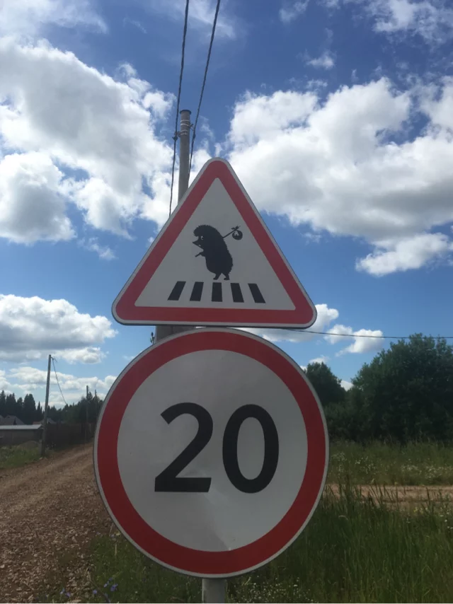 Hedgehogs' Lives Are Important - Road sign, Hedgehog in the fog