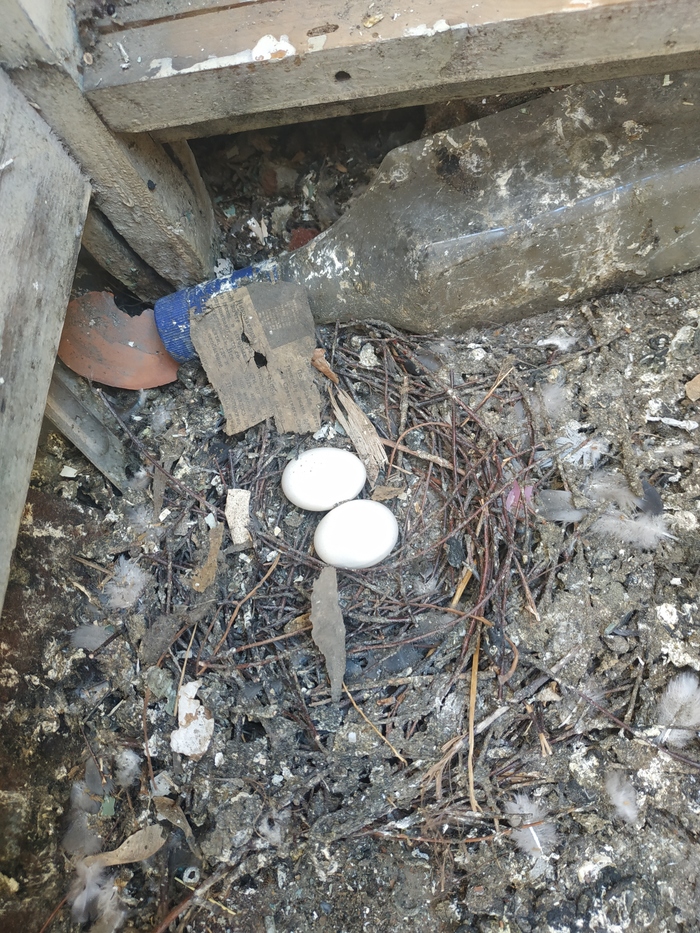 � ����� �� ���� ��� ����� �� �������