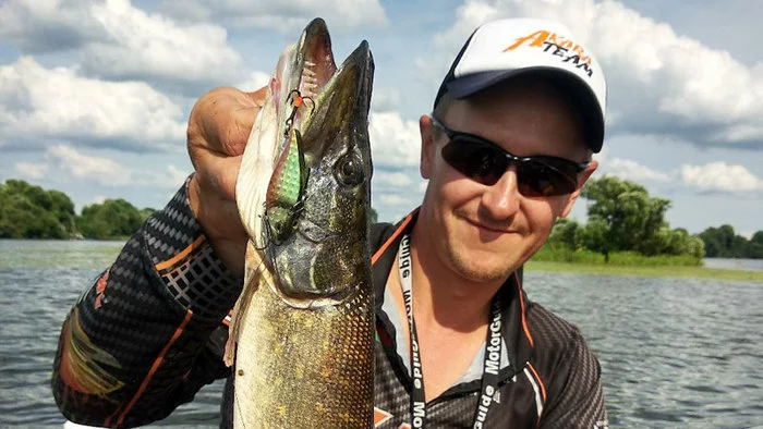 What to fish with in the summer heat? - My, Fishing, Wobbler, Perch, Pike, Catfish, Video, Longpost, Fish perch