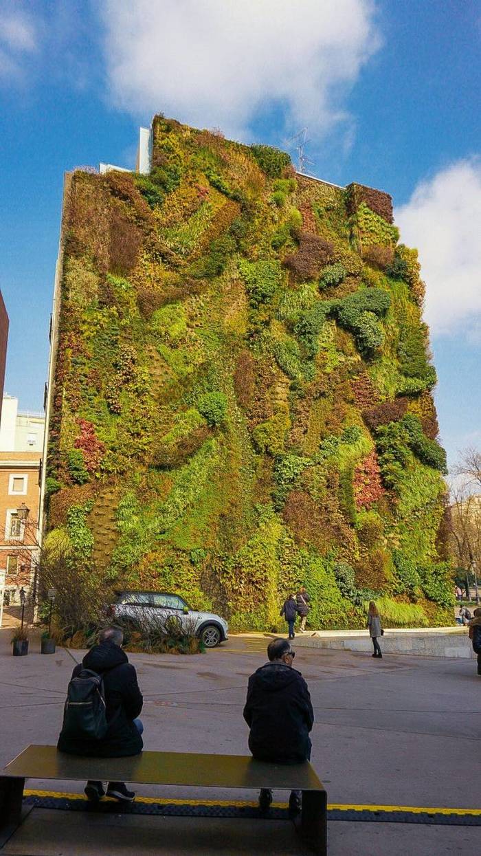 Reminiscent of a bird's eye view of the earth - Building, Wall, Relief, Ivy, Similarity, Plants, From the network