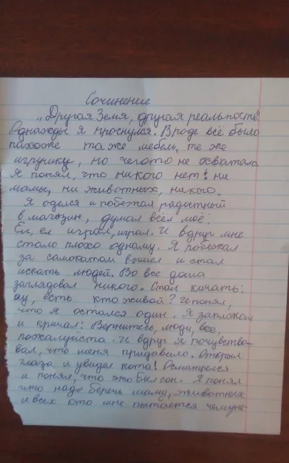 The son wrote an essay. The teacher didn't appreciate it. Although he wrote himself, and parents write for others, they give them 5 - My, Zen, Parenting, elementary School, Longpost