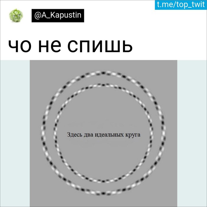 Иллюзия - Скриншот, Юмор, Twitter, Ночь, Иллюзия