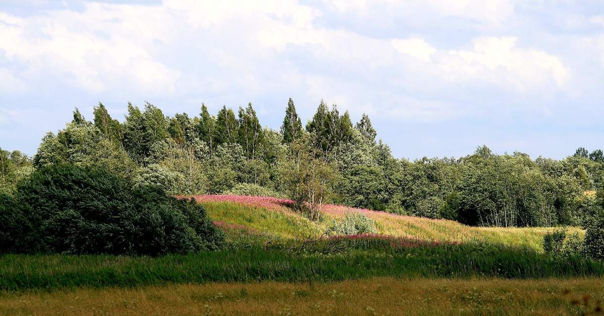 Луга поселки. Деревня Луги Ленинградской области. Деревня Луги. Луга Ленинградская область красивые места. Ломт Луга.