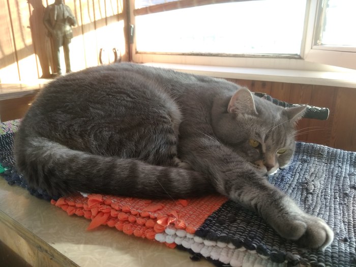 ����� ��������