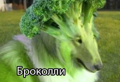 Vegan dog... - Dog, Broccoli