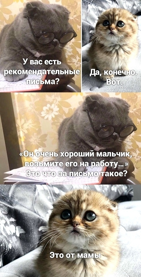     , , ,   