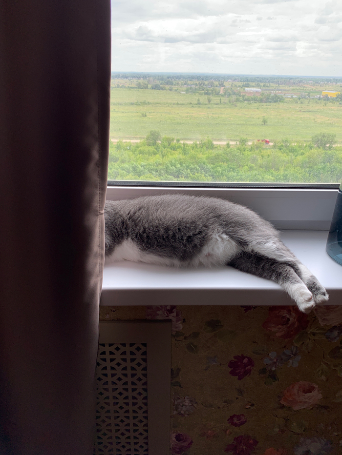 ����� ����