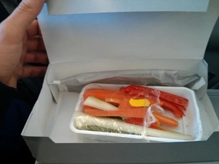 When I ordered vegetarian food on a plane - Vegetarianism, Food, Airplane