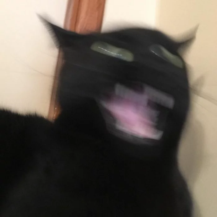 Sketches of shitty blurry cats. Part 1 - My, cat, Drawing, Illustrations, Sketch, Humor, Animals, Funny animals, Longpost